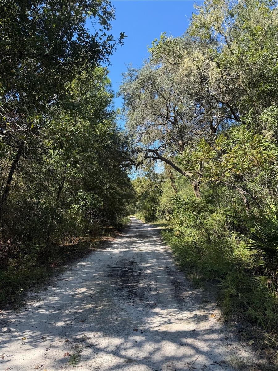 FLORIDA HLNDS #67 - Land