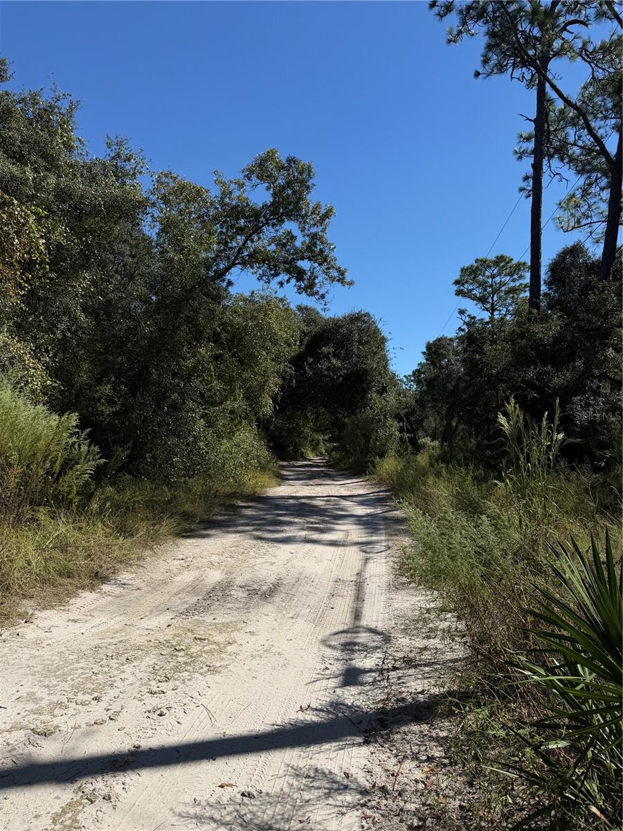 FLORIDA HLNDS #67 - Land