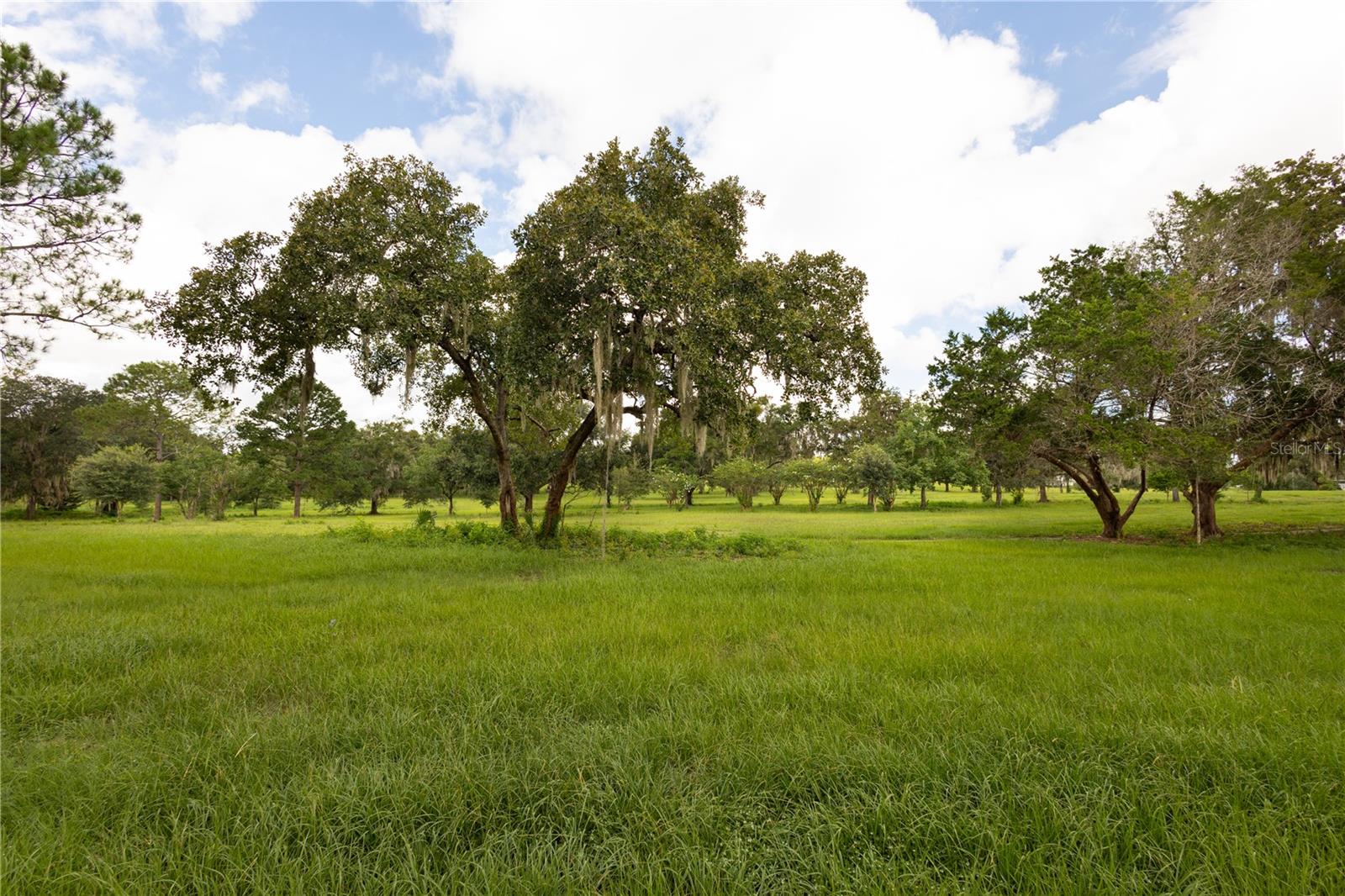 WILLISTON HIGHLANDS - Residential