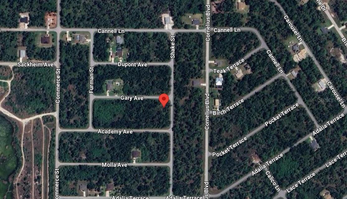 Outstanding Opportunity to own this residential lot in Port Charlotte, FL with NO HOA! No deed restrictions. There is plenty of room for a pool
behind your home with this SOUTH-FACING BACKYARD and also room for TOYS like boat, rv. etc.. This homesite is conveniently located between
fast growing North Port and Port Charlotte areas. Just a few minutes drive to CoCo Plum Shopping Center, Wellen Park and the Atlanta Braves
Spring training facilities, and only 6 miles from Warm Mineral Springs. Second lot available also at 14491 Gary Ave. right next door