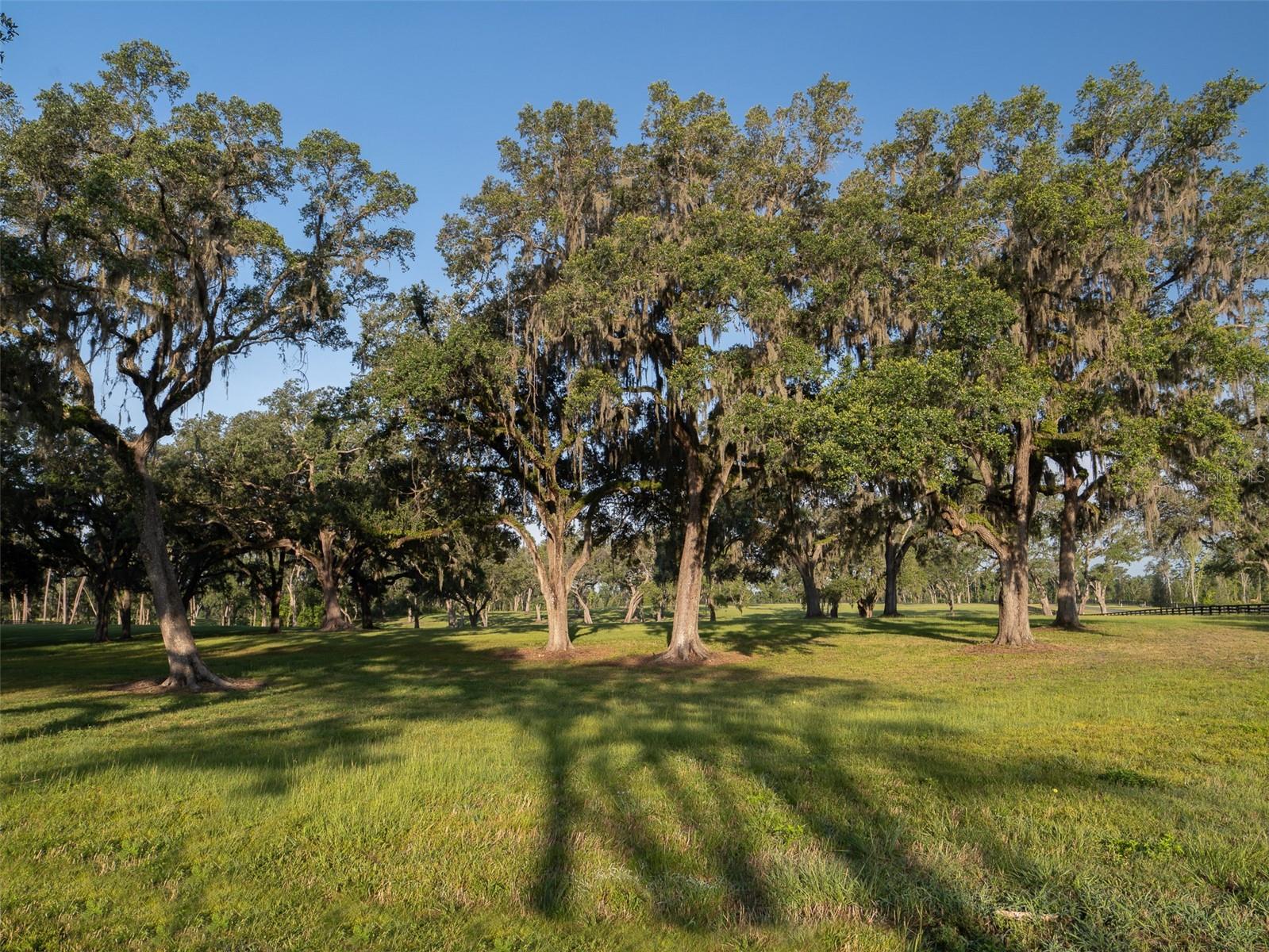 SILVER OAK - Land