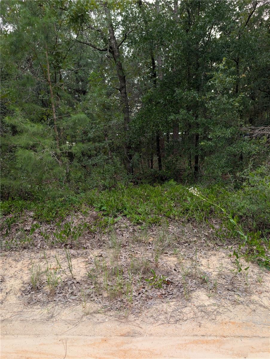 TROUT LAKE ESTATES - Land