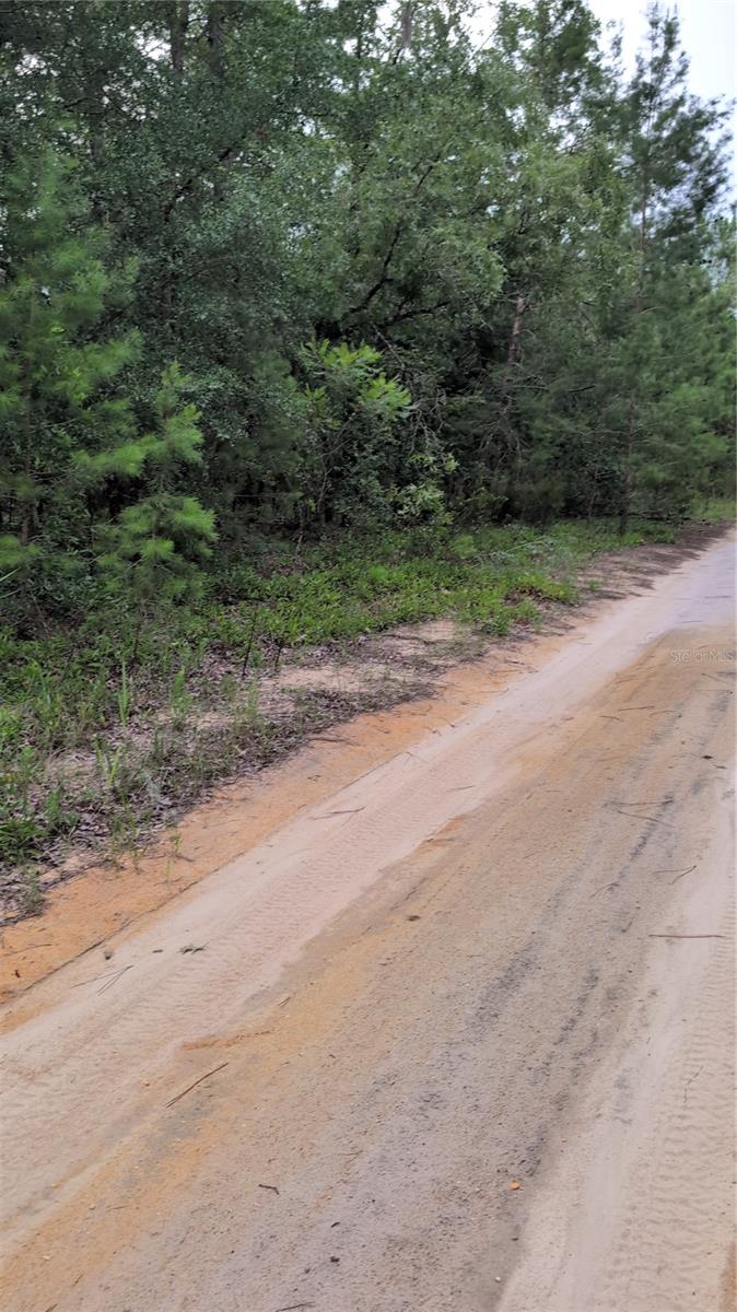 TROUT LAKE ESTATES - Land