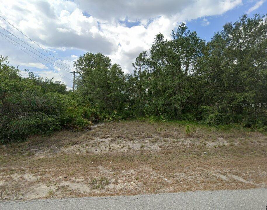 LEHIGH ACRES - Land