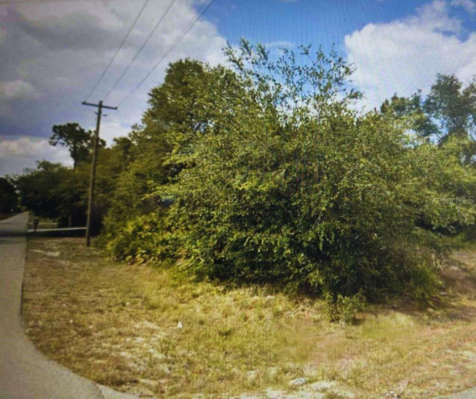 LEHIGH ACRES - Land