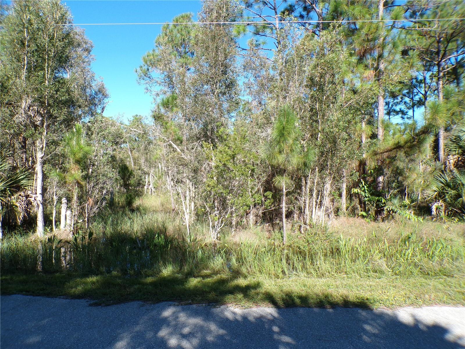 This lot and the adjoining lot, listed separately, are in Tropical Gulf Acres. Don't miss this rare opportunity to purchase 2 adjoining lots combined would be .33 acres and measure 120 X 120 making this is a great place to build your dream home and retire or raise your family. Bissett Park is a great county ran community park within this neighborhood with tennis, basketball, shuffleboard courts, horseshoe area, picnic, playground and waterfront area. Less than 3 miles to I75 makes this location an easy commute to almost anywhere, and only 10 miles to Ponce De Leon Park with amazing sunsets, and only 8 miles Punta Gorda Historic district and waterfront park with lots of shopping and dining options. Tampa Bay Rays spring training and the fairgrounds are just minutes away, also multiple golf courses and some of the best boating and fishing in all of Florida. Red Sox, Orioles, Twins and Braves spring training all within an hour’s drive. Buyer and buyers’ reps are responsible for determining environmental conditions and endangered species restrictions. This lot is priced to sell so please call for availability! This lot is at a great price point for the investor call today.
