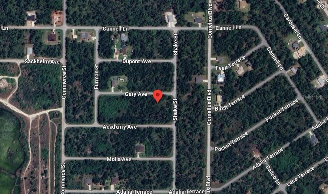 Outstanding Opportunity to own this residential lot in Port Charlotte, FL with NO HOA! No deed restrictions. There is plenty of room for a pool
behind your home with this SOUTH-FACING BACKYARD and also room for TOYS like boat, rv. etc.. This homesite is conveniently located between
fast growing North Port and Port Charlotte areas. Just a few minutes drive to CoCo Plum Shopping Center, Wellen Park and the Atlanta Braves
Spring training facilities, and only 6 miles from Warm Mineral Springs. Second lot available also at 14499 Gary Ave. right next door