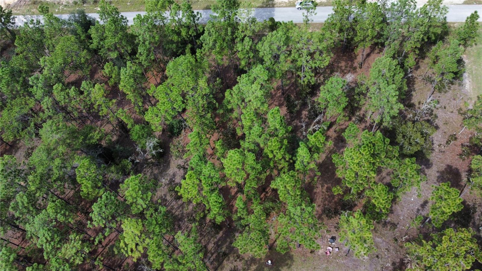 RAINBOW LAKES ESTATE - Land