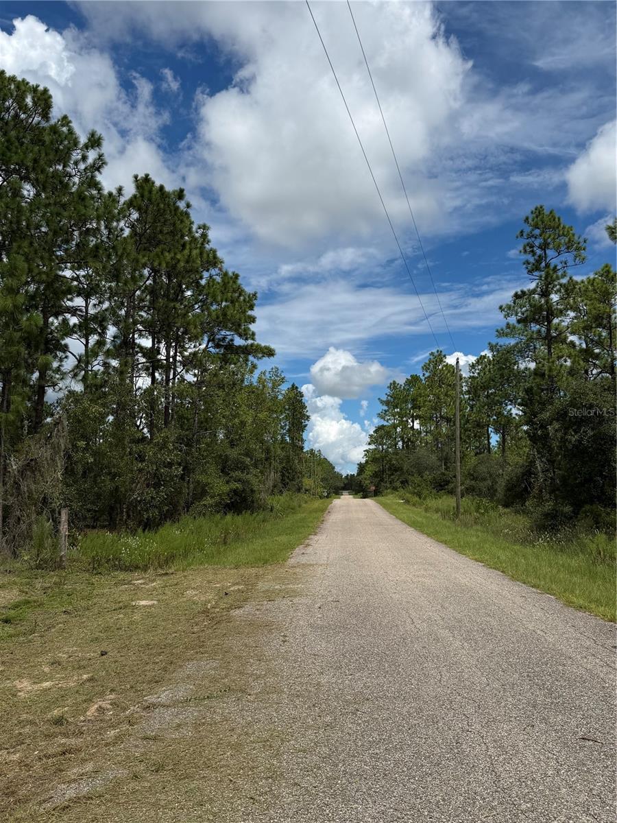 BUILD YOUR DREAM HOME ON THIS HIGH & DRY 1-ACRE LOT! Nestled in the desirable community of Rainbow Lakes Estates, this spacious 1-acre parcel offers the perfect blend of privacy, natural beauty, and modern convenience. Ready for your custom site-built home, this lot provides plenty of room for a pool, workshop, RV storage, or multi-car garage—with NO HOA fees! Enjoy peaceful country-style living just minutes from the world-famous Rainbow Springs State Park, crystal-clear rivers, boating, fishing, and charming downtown Dunnellon. Paved road access and electricity available nearby. Bring your builder and turn your vision into reality today!