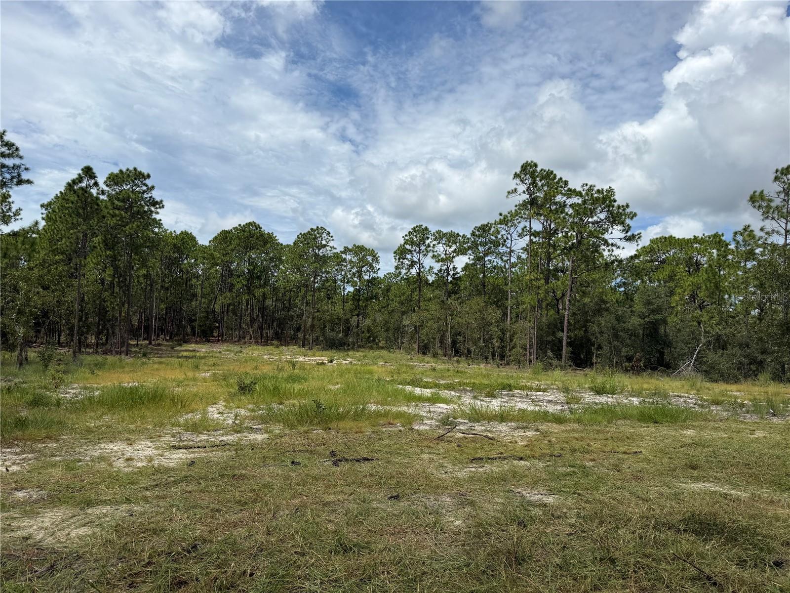 RAINBOW SPRINGS ESTATES - Land