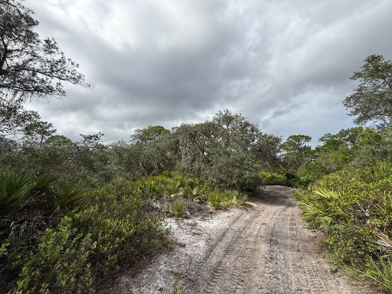 Build your dream home on this sprawling 1.023 acre vacant lot located in the charming, peaceful community of Lake Placid, Florida.  This large parcel offers ample privacy and space to design a custom homestead, with room for gardens, workshops, or a private pool, just minutes from downtown. The land is wooded, allowing you the flexibility to build your dream residential home while allowing for mature trees to be kept for privacy and pristine beauty. Situated in a fast-growing area, Lake Placid a great investment or retirement location for you and your family.