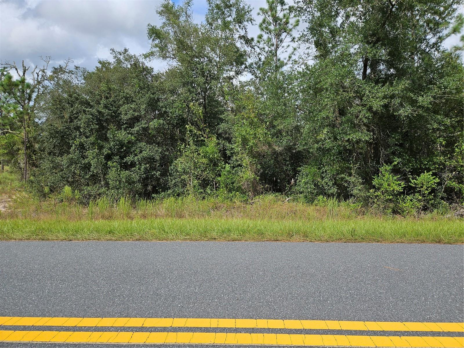 No HOA – Seller Will Consider All Offers! Vacant residential lot located in Rainbow Lakes Estates in the Dunnellon area of Marion County. Enjoy a setting surrounded by Florida’s natural beauty, with opportunities for outdoor recreation nearby, including Rainbow Springs State Park, the Rainbow River, kayaking, fishing, and hiking. Shopping, dining, and everyday conveniences are available in Dunnellon and the surrounding areas. No public water or sewer access is available, so a private well and septic system may be needed for future construction; buyers should verify utility availability, zoning, buildability, and all intended uses with the appropriate authorities. With no HOA, this property offers an opportunity to explore building a primary residence, seasonal home, or holding land as an investment. Bring your vision and discover the possibilities.