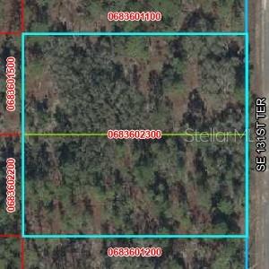 Discover the possibilities with this approximately 2-acre parcel in Rainbow Lakes Estates! Comprised of two adjoining lots totaling approximately 86,800 square feet, this spacious property offers approximately 280 feet of paved road frontage on SE 131st Terrace. The level, wooded setting provides plenty of room to create your Florida retreat while still enjoying the quiet, rural feel the area is known for. Manufactured homes are permitted per available property information, with well and septic required and power available in the area. No HOA. Conveniently located near Dunnellon with access to outdoor recreation, lakes, parks and the natural beauty of North Central Florida. Whether you’re looking for a future homesite, additional space or land to hold for the future, this is an opportunity to own approximately two acres in Rainbow Lakes Estates. Buyer to verify zoning, permitted uses, utilities, lot dimensions and development requirements with Levy County.