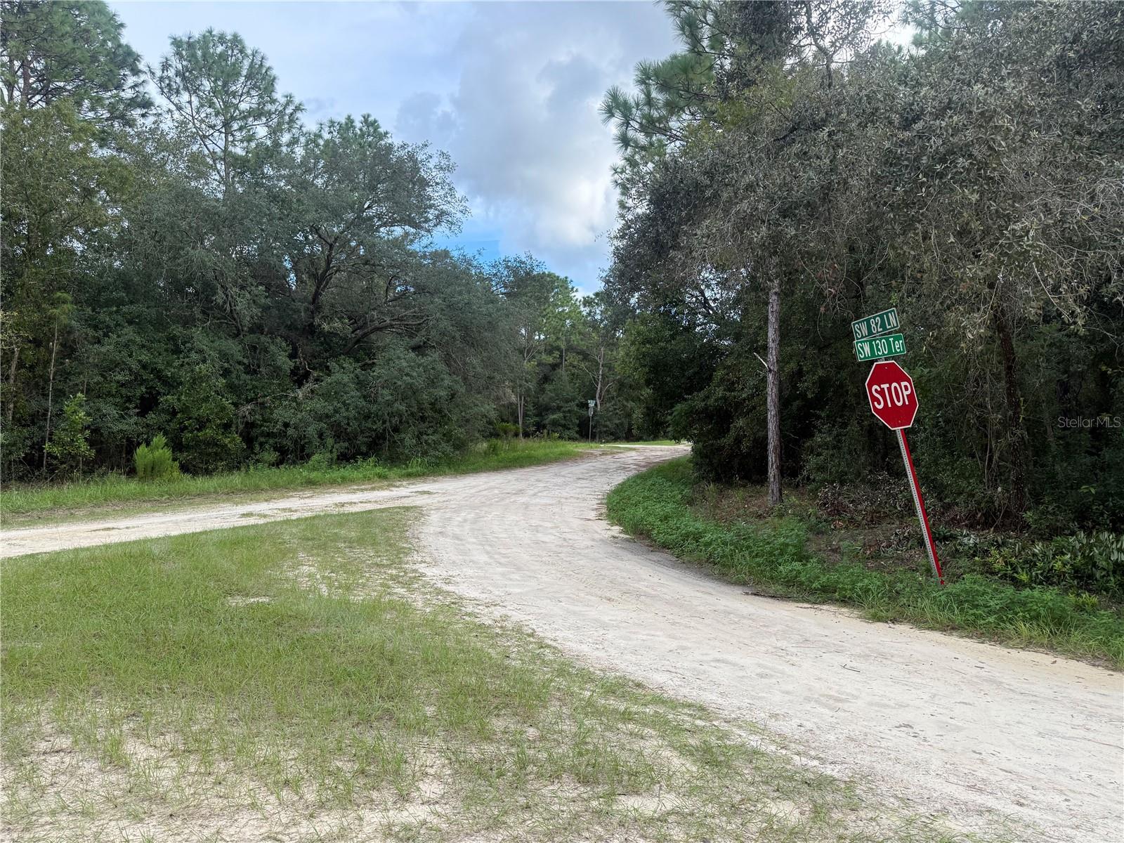 Build your dream home here! This private and beautiful high and dry 1.33 acre lot is minutes away from the Cross Florida Greenway with miles of horse, hiking and biking trails to explore. Additionally, it is just a few miles from the World Equestrian Center shopping and restaurants.