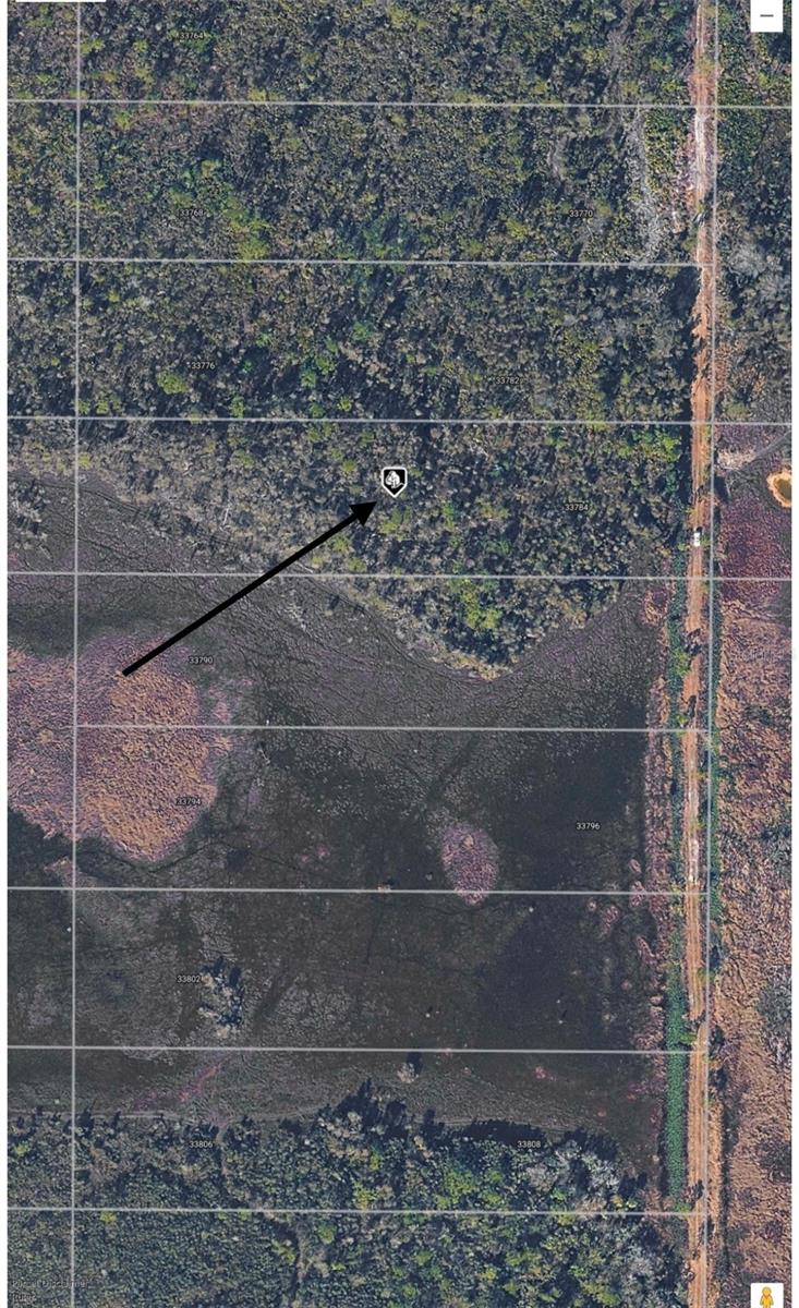 Located close to I-75 and Oil Well Road. This is a great location with many options for use. AG zoning allows for - residential development, farm- vegetable, grain, poultry, livestock breeding, Horses, Barns, Stables, Recreational facilities, Harvesting, sale of goods grown on premises, Plant Nursery, and many other uses! (please refer to the attachment on the listing for a full list of possibilities) Proximity to waterways, local beaches, dining, shopping, and golf courses makes this property ideal for the Florida lifestyle. Also, easy access to public parks with bike and walking trails and picnic areas, and boat ramps providing access to many waterways, beautiful Charlotte Harbor, and the Gulf of Mexico. Quiet rural community yet all conveniences and amenities nearby. At the time of listing this is not a Scrub Jay area. Suggest buyers get a survey for actual dimensions. Not within the Scrub Jay Permit Boundary, please confirm with the County website. Buyers should contact the county for any questions or concerns. Seller discloses that public online mapping tools indicate potential wetland areas on the Property. Seller has conducted no independent engineering or environmental studies. Buyer is explicitly granted a feasibility period to conduct a professional wetland delineation and verify buildability. LISTING AGENT IS THE OWNER.