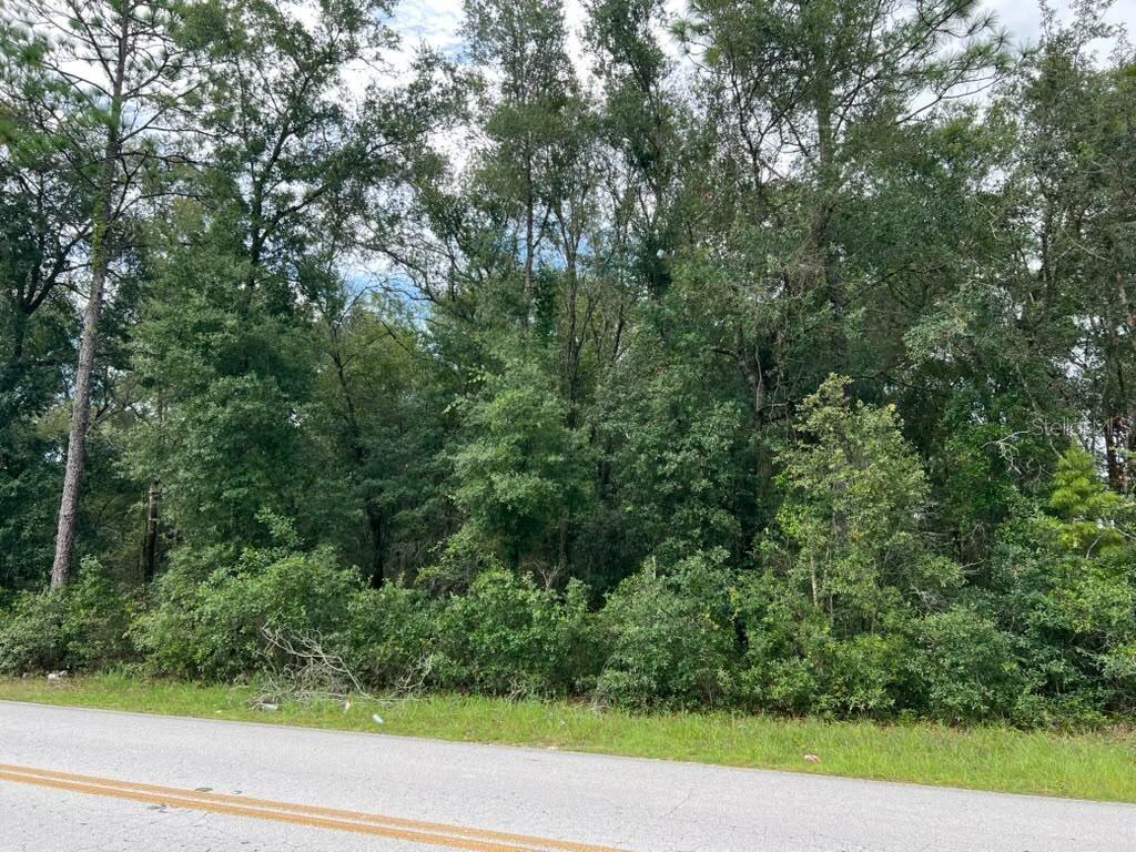 Spacious Residential Lot | 0.38 Acres | No HOA | Paved Road

Discover the possibilities with this 0.38-acre residential lot located at 0 SE 132nd Pl, Ocklawaha, FL 32179. It has approximately 16,552 square feet of land, this property presents an opportunity to plan and build your future home in Marion County.

Property Highlights:

Generous Lot Size: Approximately 0.38 acres of space to explore your residential building plans.

Residential Zoning: R-1 zoning.

Paved Road Access: Convenient access from a paved road.

Electricity Available: A utility pole is located at the corner of the lot.

No HOA: No homeowners association fees reported.

Utilities: Well and septic system required.

Nearby Schools:

Harbour View Elementary School (K–5) — approximately 10 minutes by car.
Lake Weir Middle School (6–8) — approximately 8 minutes by car.
Lake Weir High School (9–12) — approximately 12 minutes by car.

Outdoor Recreation: Enjoy the opportunity to explore the natural surroundings of Ocklawaha, with Lake Weir and Carney Island Recreation & Conservation Area providing nearby options for outdoor activities, boating, fishing, and enjoying the Florida sunshine.

Whether you are planning a future homesite or looking to add residential land to your portfolio, this property gives an opportunity to explore the possibilities in Ocklawaha.