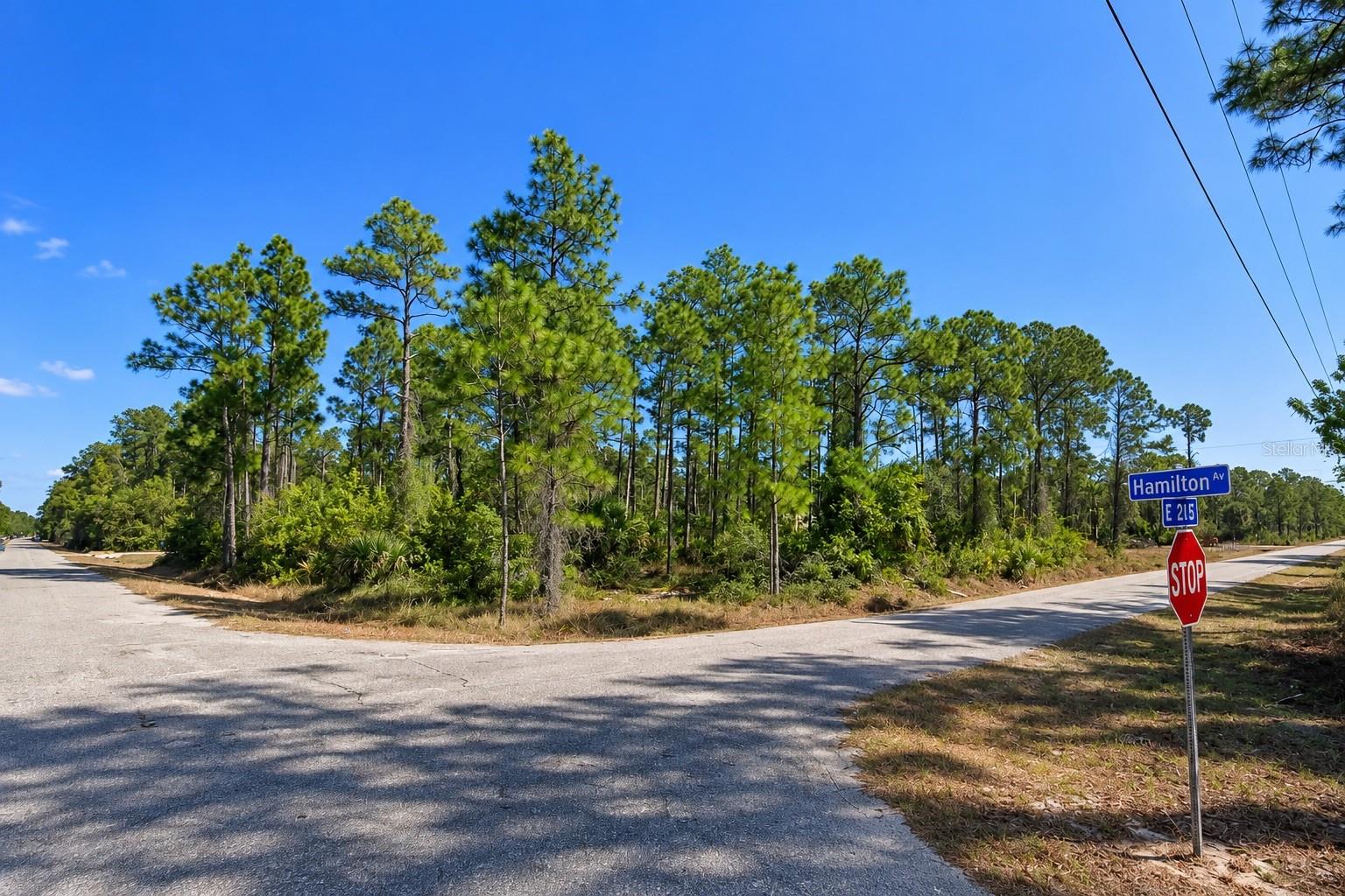 Build your future in beautiful Alva! Located on a desirable corner lot, this approximately 0.25-acre residential parcel offers the perfect opportunity to create a custom home in a peaceful Southwest Florida setting. The corner location provides added frontage, convenient access, and greater flexibility when planning your homesite. Enjoy the quiet, spacious feel Alva is known for while still being within reach of schools, shopping, dining, and everyday conveniences. Outdoor lovers will appreciate nearby access to the Caloosahatchee River and Caloosahatchee Regional Park, offering trails, fishing, paddling, camping, and more. Whether you’re planning your primary residence, a seasonal retreat, or holding land for the future, this property offers an appealing combination of location, space, and potential. Bring your builder, bring your plans, and take the next step toward creating your place in Alva.