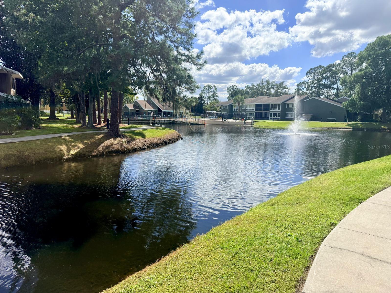 WINDHOVER CONDO - Residential