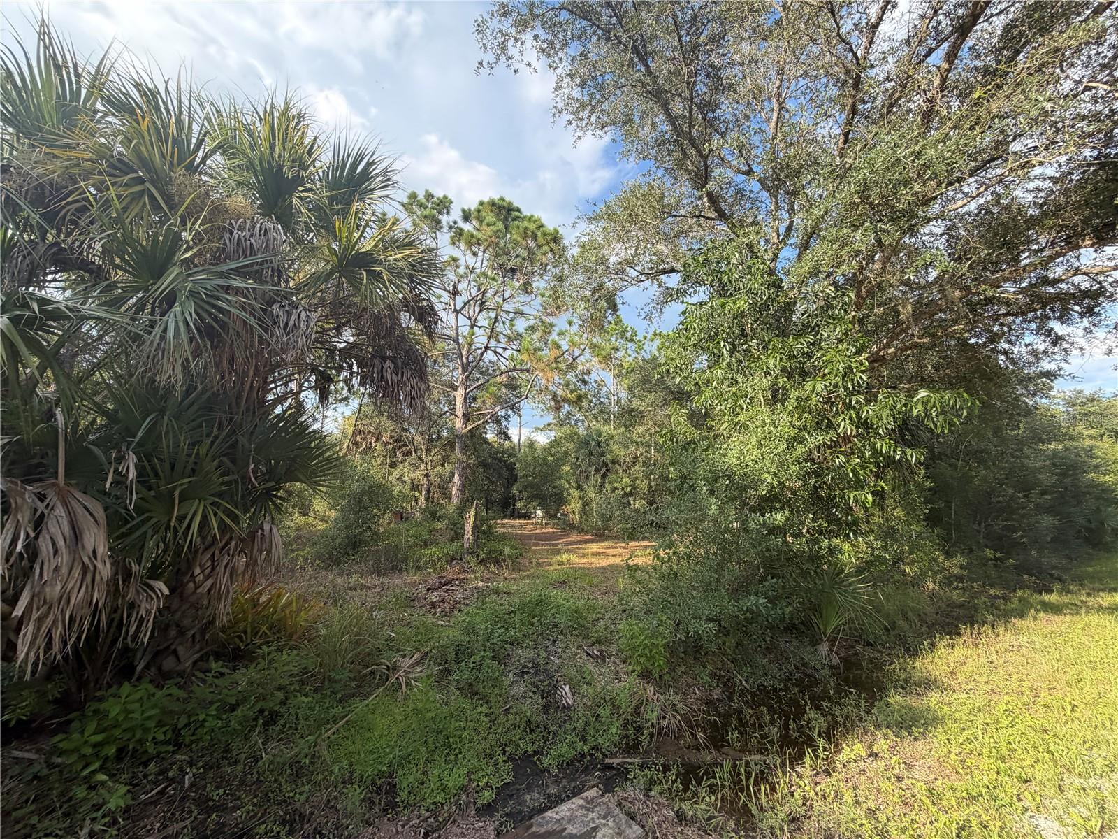 Build now, hold for later, or grab the lot next door too! This beautiful vacant lot is tucked away on a quiet, private road while still giving you easy access to everything we love about the Punta Gorda area. Mature trees give the property plenty of character and that tucked-away Florida feel, with room to create a homesite that feels like your own little escape. Offered individually at $9,900, with the neighboring lot also available for purchase if you’d like to double your space. Buy one or buy both and start dreaming up what comes next!