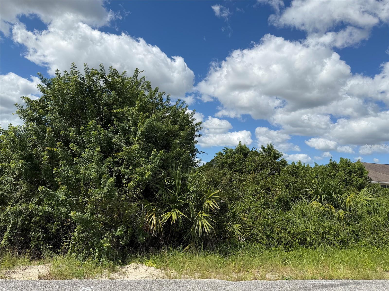 LEHIGH ACRES - Land