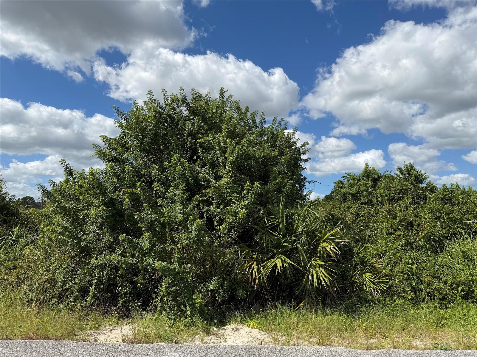 LEHIGH ACRES - Land