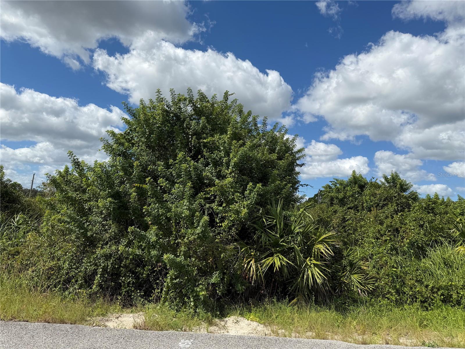 LEHIGH ACRES - Land