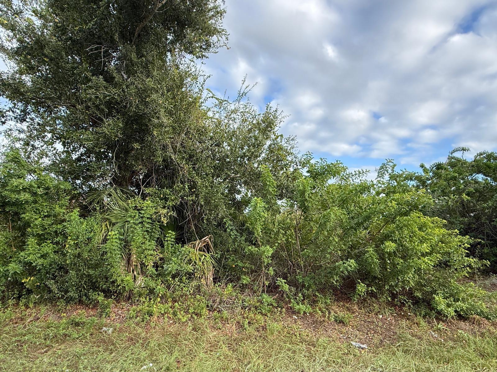 Duplex-zoned homesite in South Gulf Cove, priced to sell. This 80x125 lot (0.23 acre) is zoned RMF10 with a Medium Density Residential future land use designation, offering the potential to build a duplex — live in one side and rent the other, or hold as an investment. Located on a paved street among newly built duplexes. County water and sewer are nearby but not yet connected to the lot; buyer to verify extension and connection costs with Charlotte County Utilities. South Gulf Cove is a deed-restricted community with an optional HOA, parks, sidewalks, a community boat ramp, and miles of Gulf-access waterways. Minutes to Englewood Beach, Boca Grande, golf, shopping, and dining.