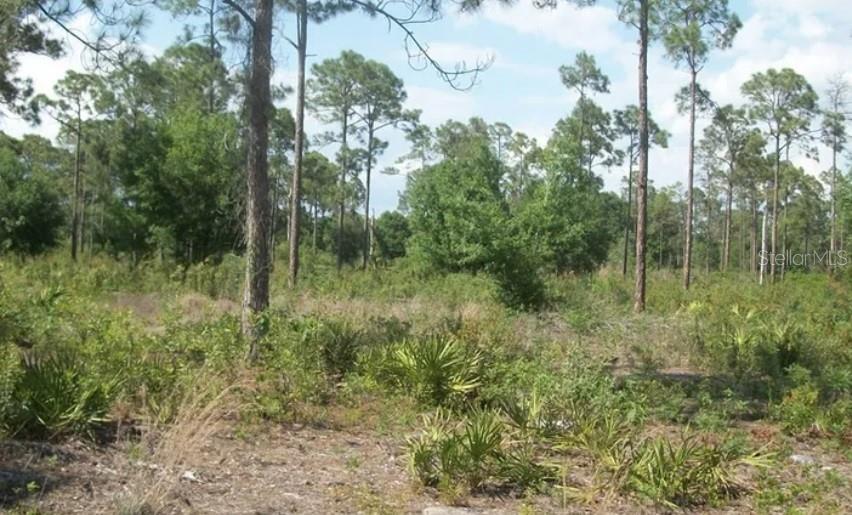 Discover the possibilities with this spacious 2.5-acre parcel located at 1055 Union Avenue in the
desirable rural community of Pioneer Plantation in Clewiston.  Offering approximately 330' x 330'
of land, this property provides plenty of room to create your own private retreat and enjoy the
peaceful country lifestyle South Florida is known for. Whether you are considering building a
future home or simply investing in land, this generous parcel offers space, privacy and potential.