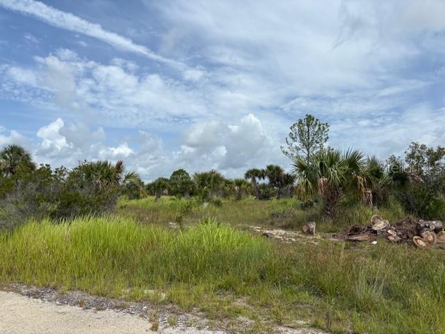 Price Reduced!!!  Investment property for future use on this 1/4 acre lot.  Utilities are currently not present; power lines are not far away!  It does not appear that the lot is buildable at the current time.  It is a recorded plat with some roads in, just no other infrastructure.