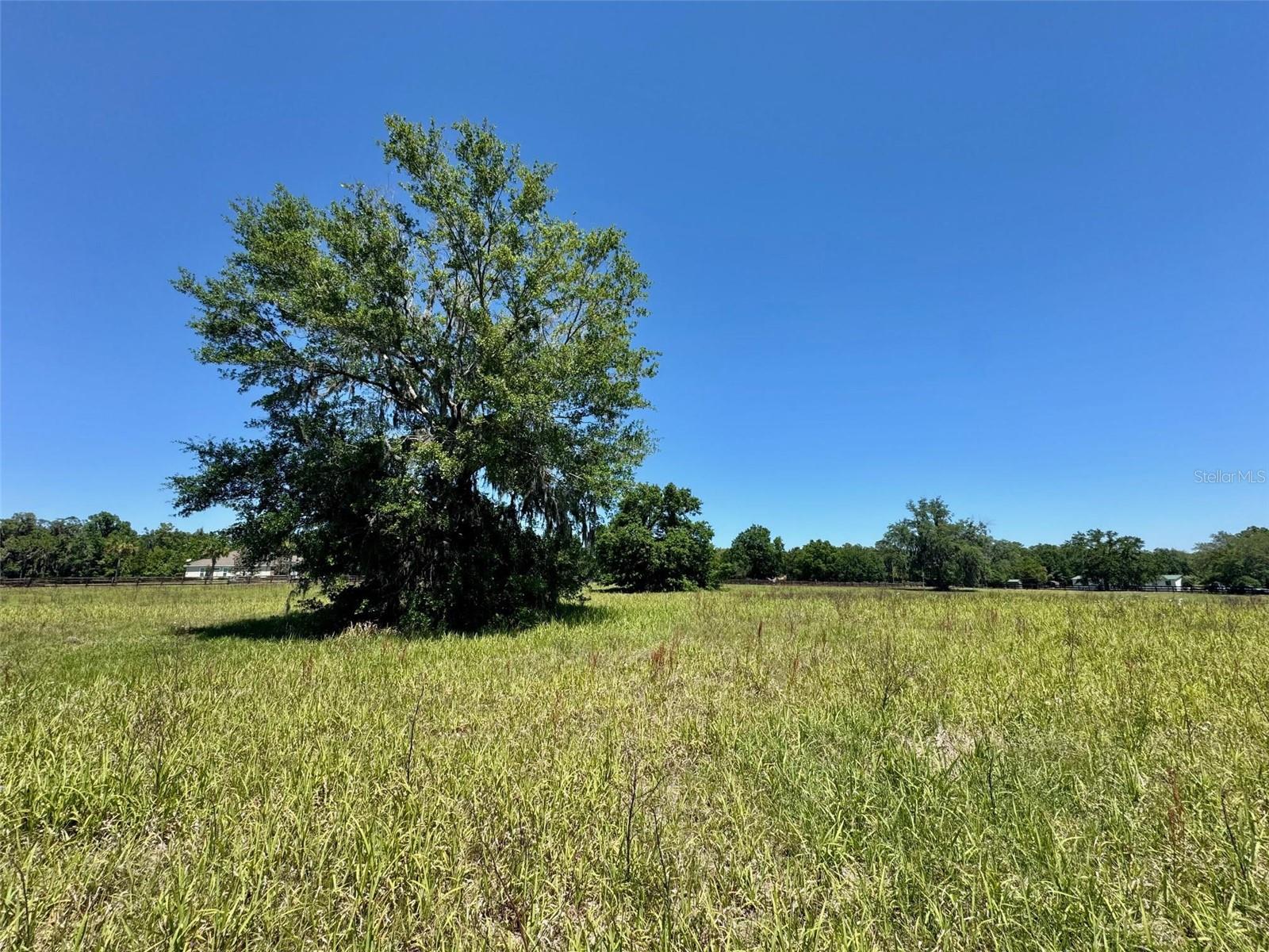GROVE HOLLOW FARMS - Land