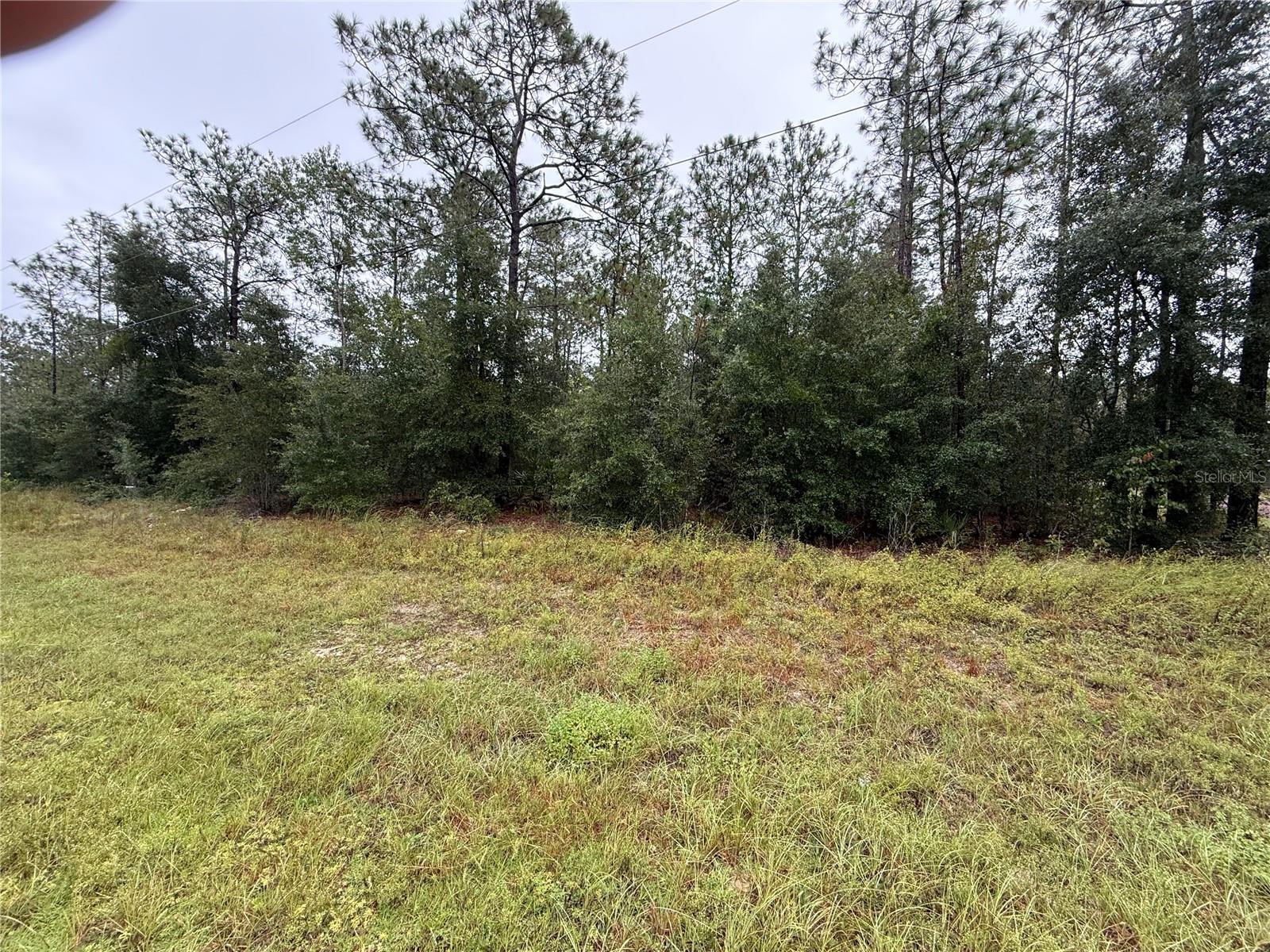 PRIME COMMERCIAL OPPORTUNITY in the growing Marion Oaks community of Ocala! This vacant parcel is zoned B-2 (Community Business), offering excellent potential for investors, developers, and business owners looking to establish a presence in a rapidly developing area of Marion County. B-2 zoning may accommodate a variety of commercial uses, including retail, professional offices, restaurants, personal services, and other neighborhood-serving businesses, subject to Marion County approval. The property offers frontage along SW Marion Oaks Course and is surrounded by an established and growing residential community, creating strong potential for future commercial demand. Convenient access to major roadways, shopping, schools, and surrounding Ocala amenities. Secure commercial land now for development or long-term investment. Buyer to verify permitted uses, utilities, access, dimensions, setbacks, and all development requirements with Marion County.