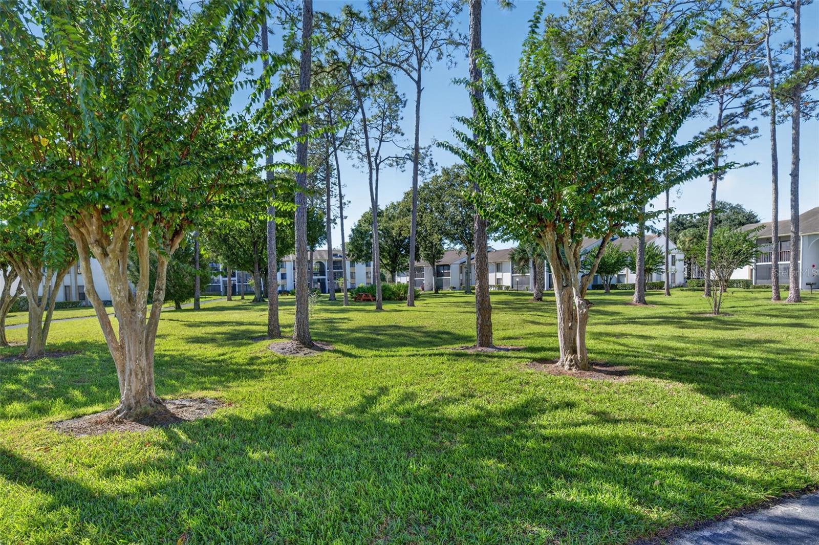 CLUB AT ORLANDO PH 14 - Residential