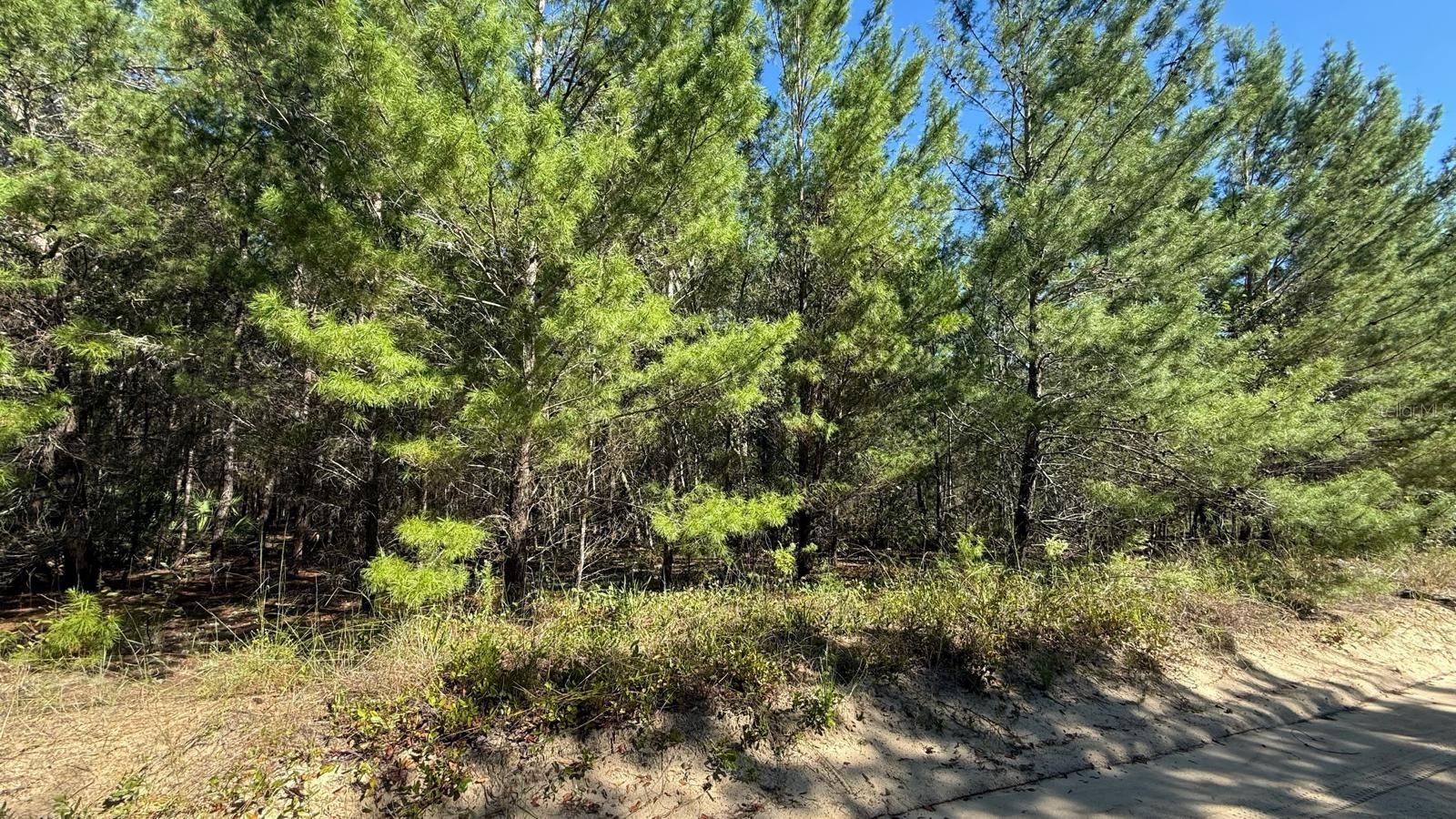 TROUT LAKE MANOR - Land