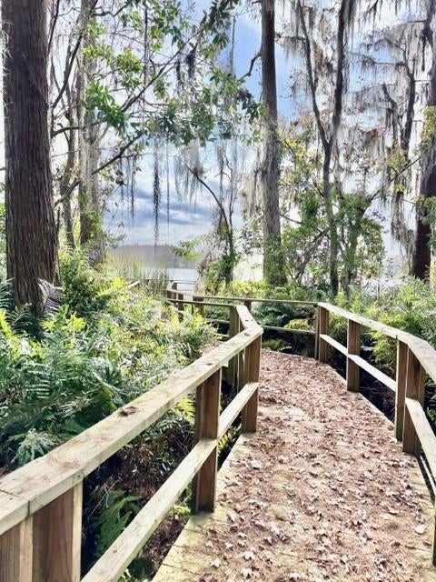 LAKE ELLEN WALK - Residential