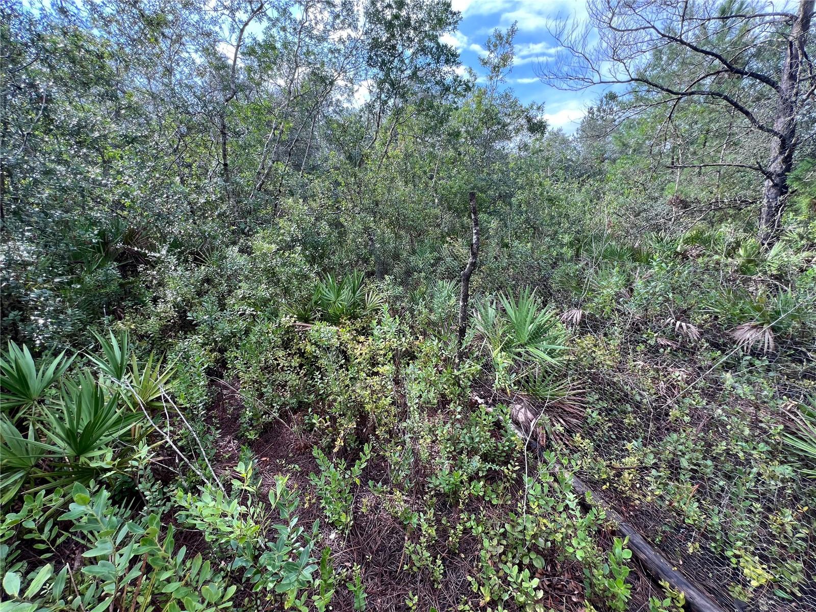 INTERLACHEN LAKES ESTATES - Land