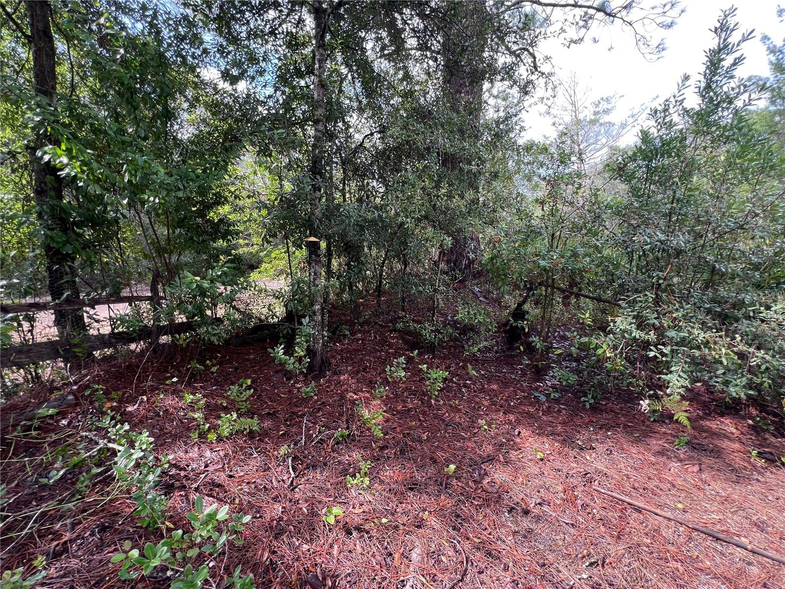 INTERLACHEN LAKES ESTATES - Land