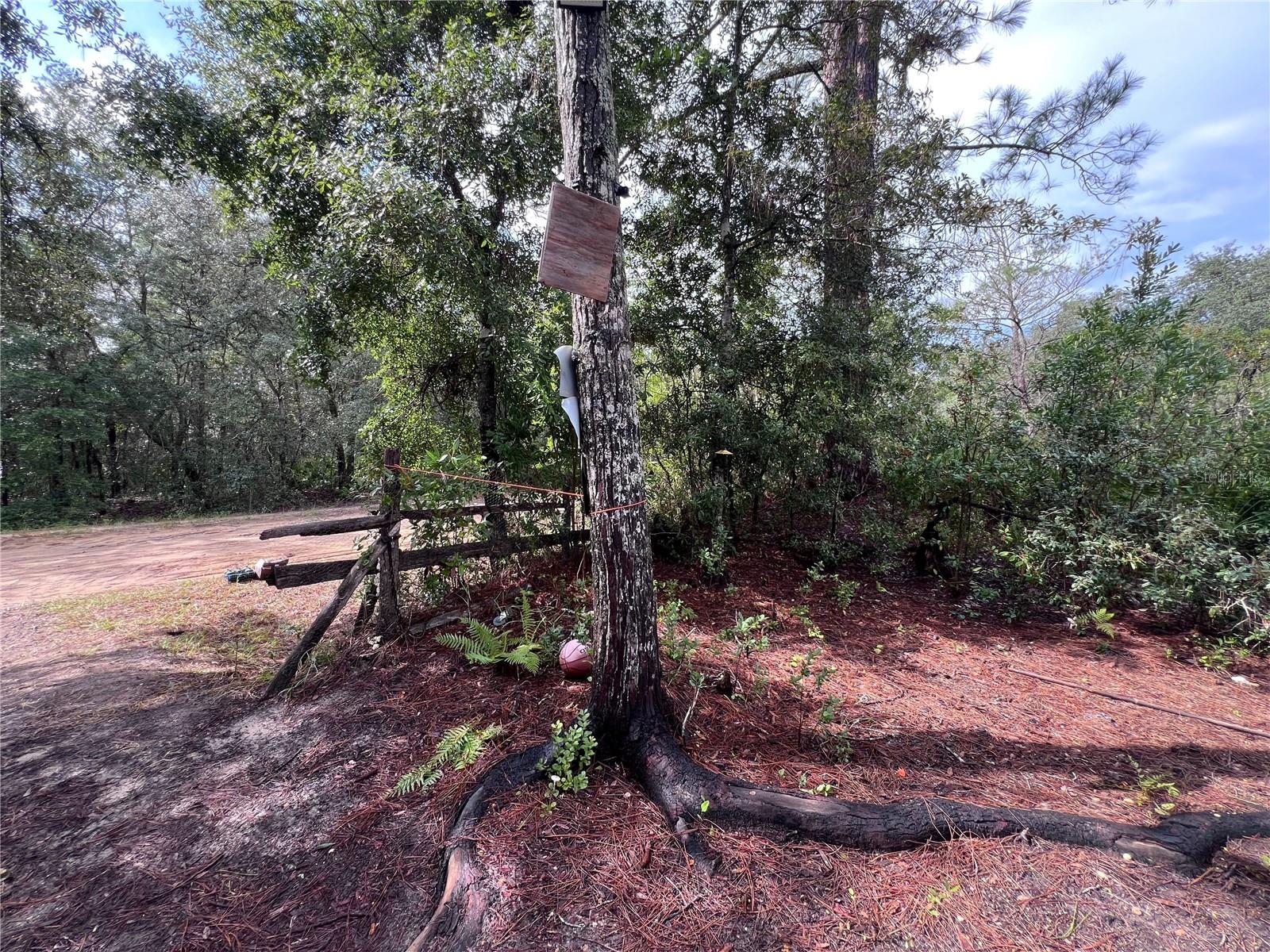 INTERLACHEN LAKES ESTATES - Land