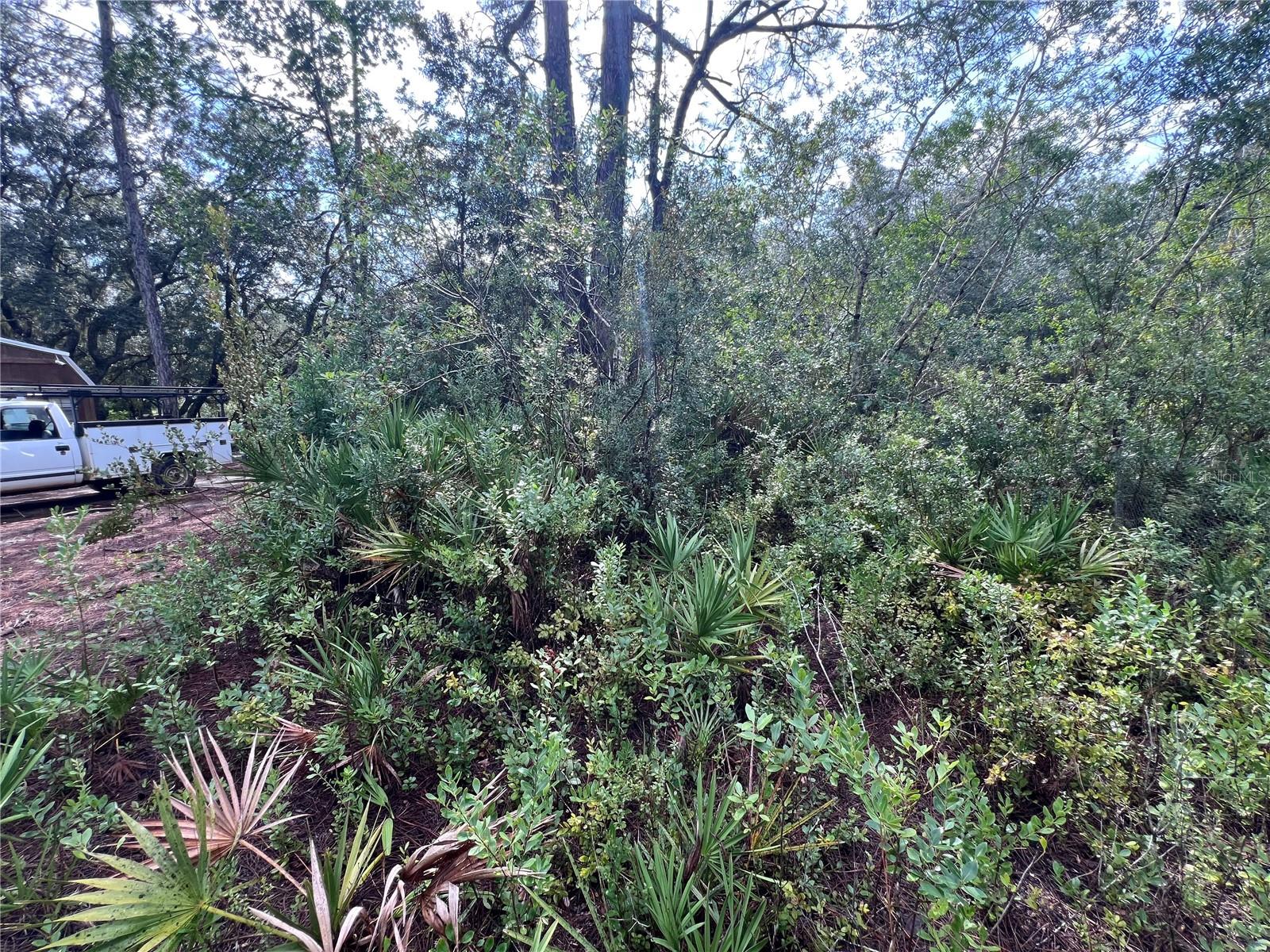 INTERLACHEN LAKES ESTATES - Land