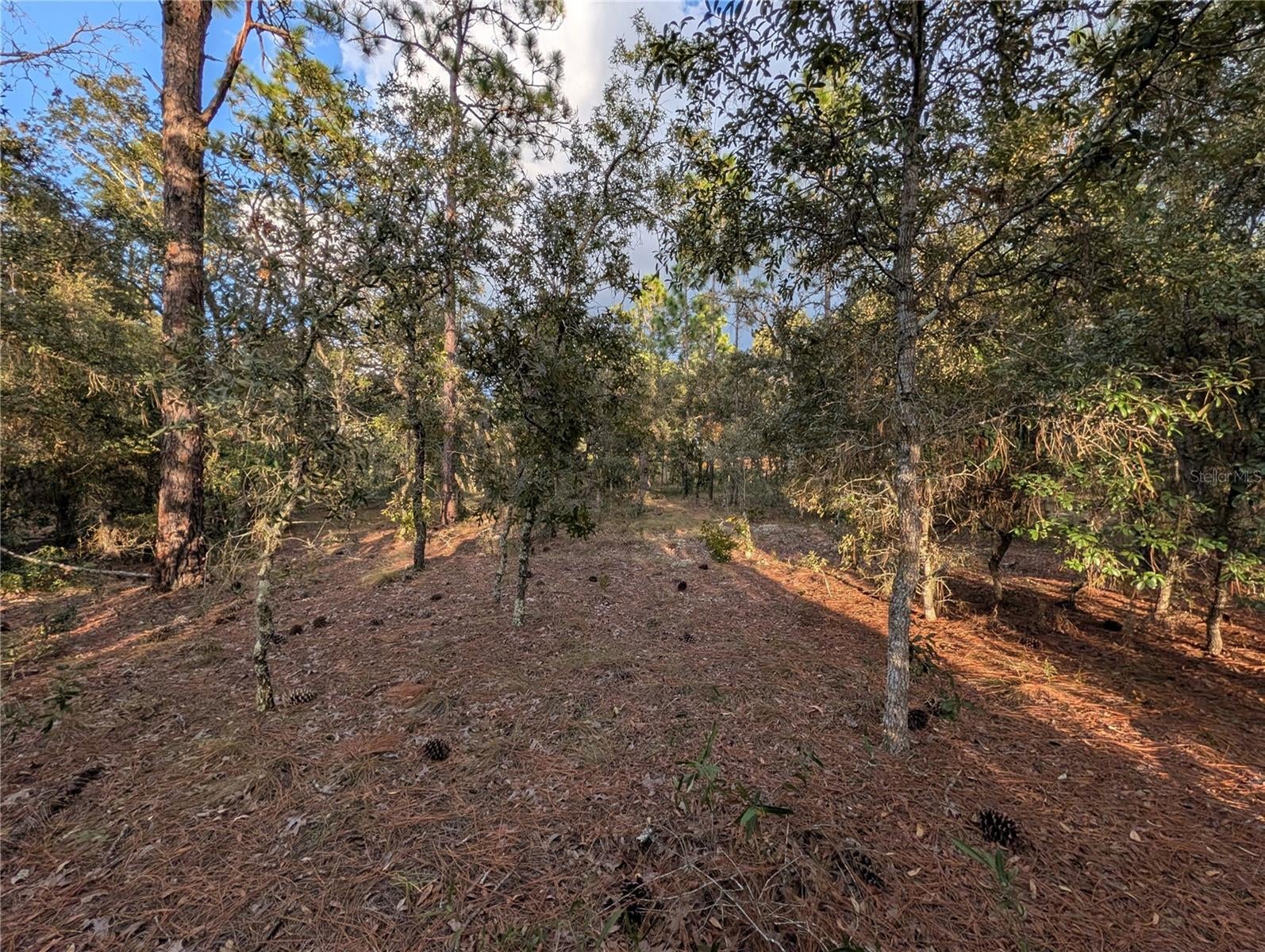 RAINBOW LAKES ESTATES SEC O - Land