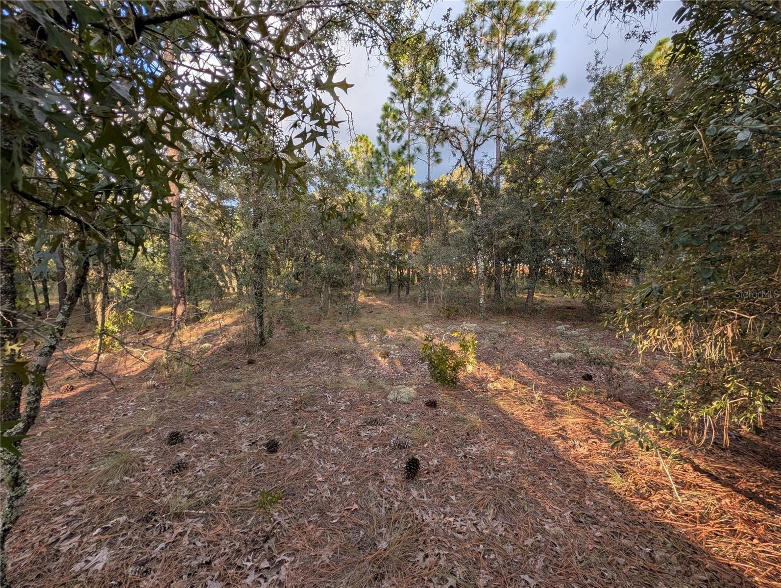RAINBOW LAKES ESTATES SEC O - Land