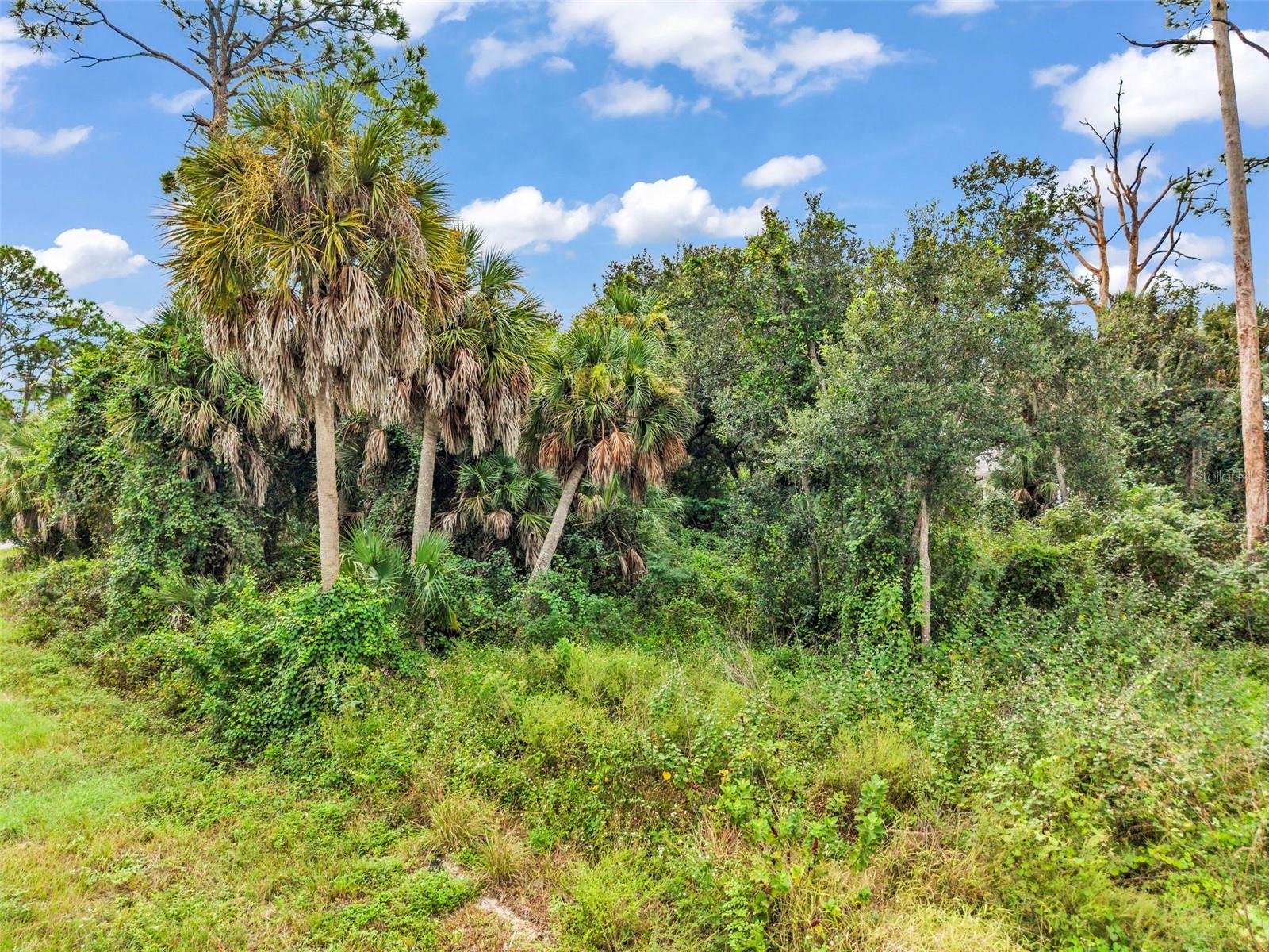 PORT CHARLOTTE SEC 016 - Land