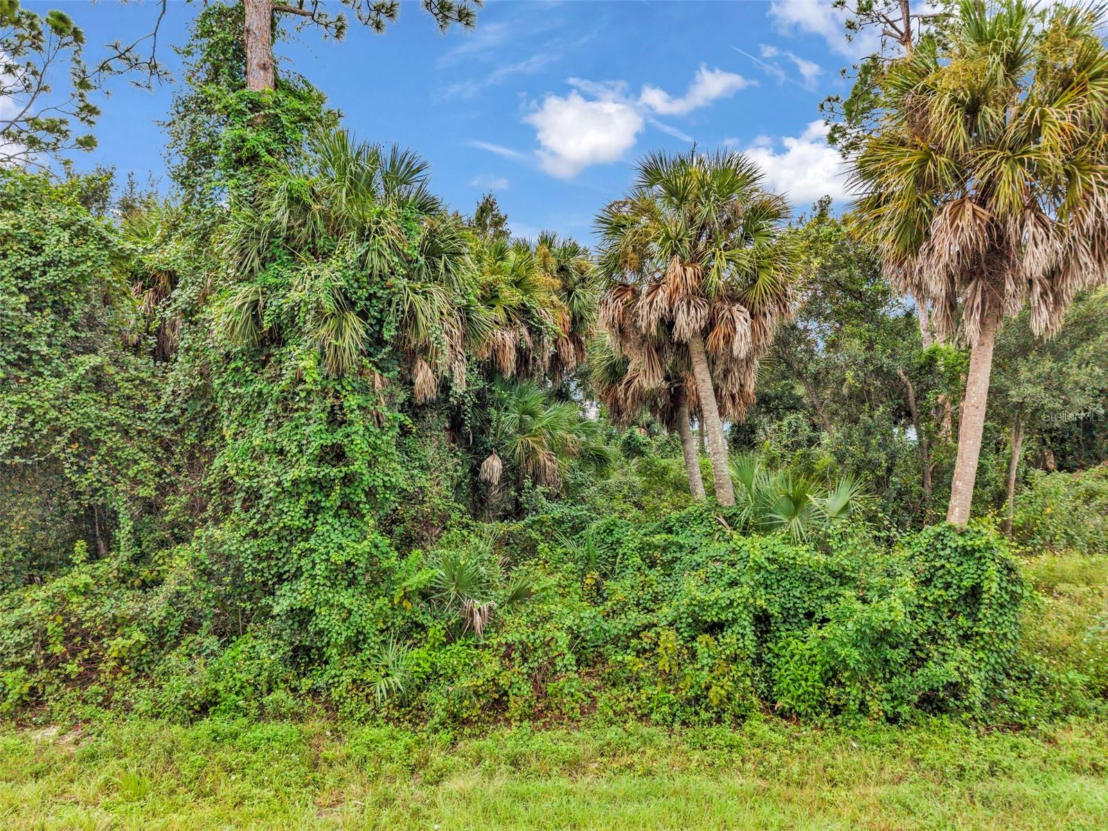 PORT CHARLOTTE SEC 016 - Land