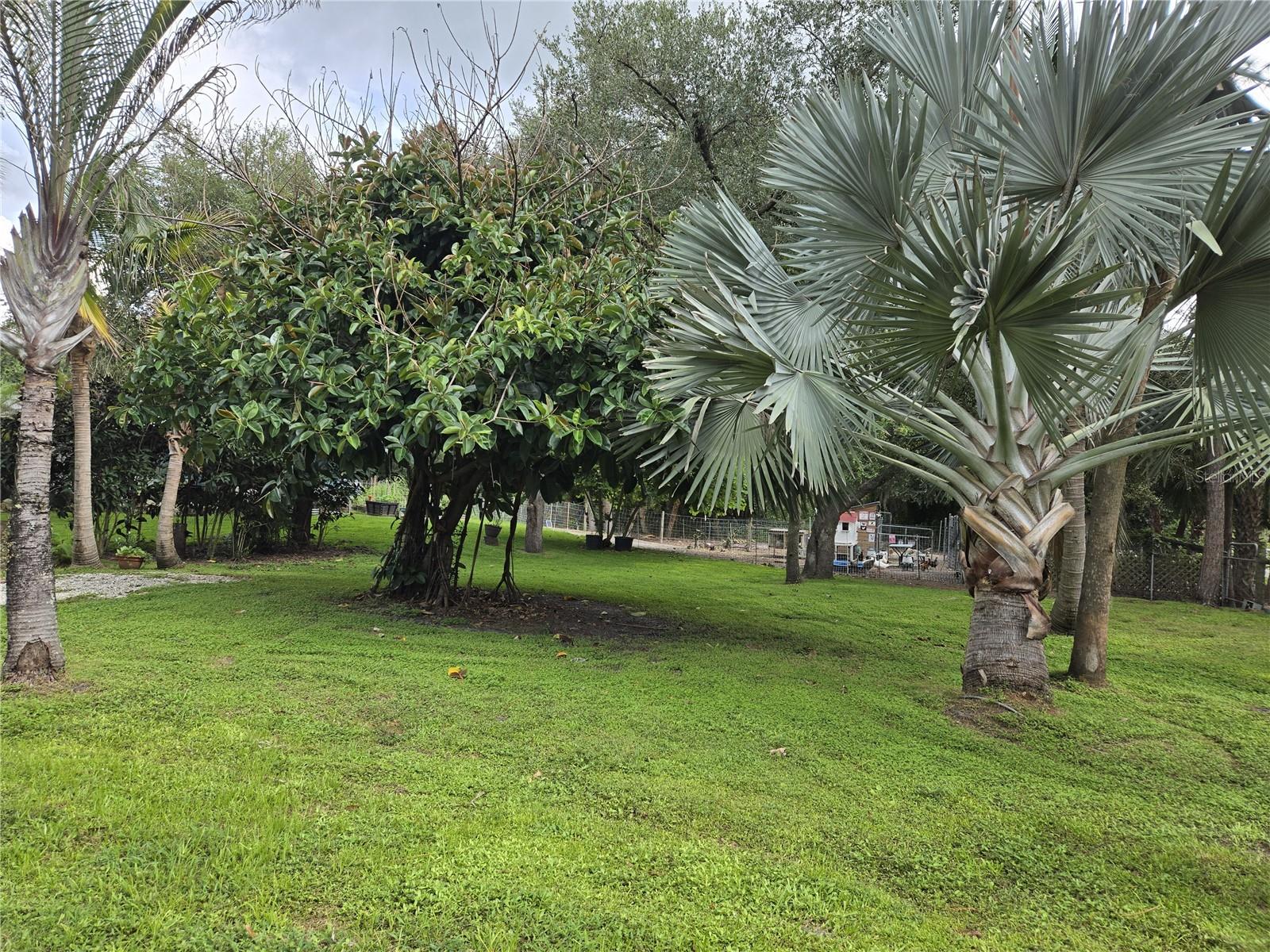 NORTH PORT CHARLOTTE ESTATES ADD 01 - Residential