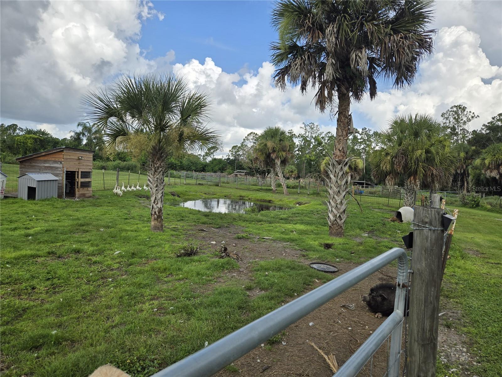 NORTH PORT CHARLOTTE ESTATES ADD 01 - Residential
