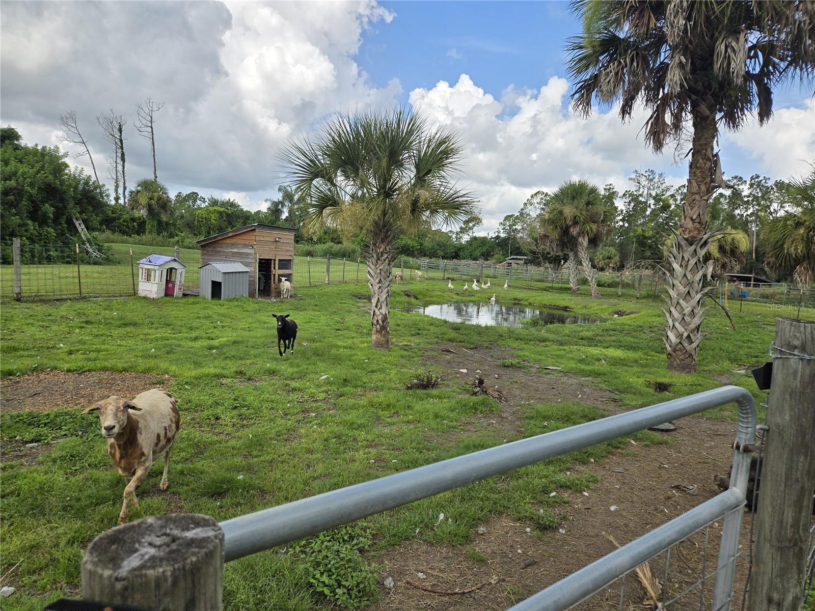 NORTH PORT CHARLOTTE ESTATES ADD 01 - Residential