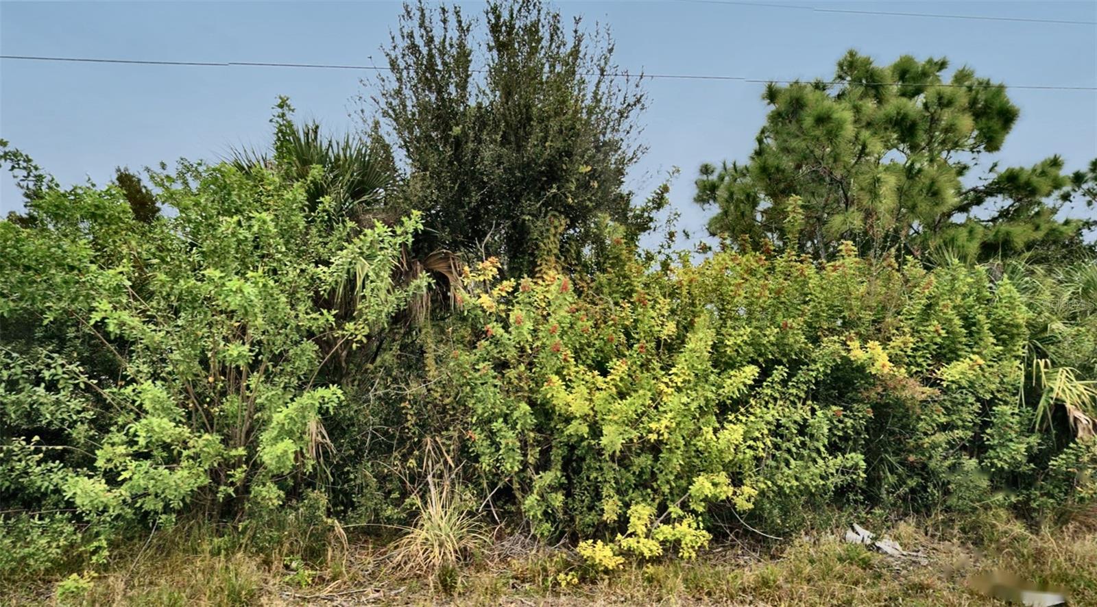 LEHIGH ACRES - Land