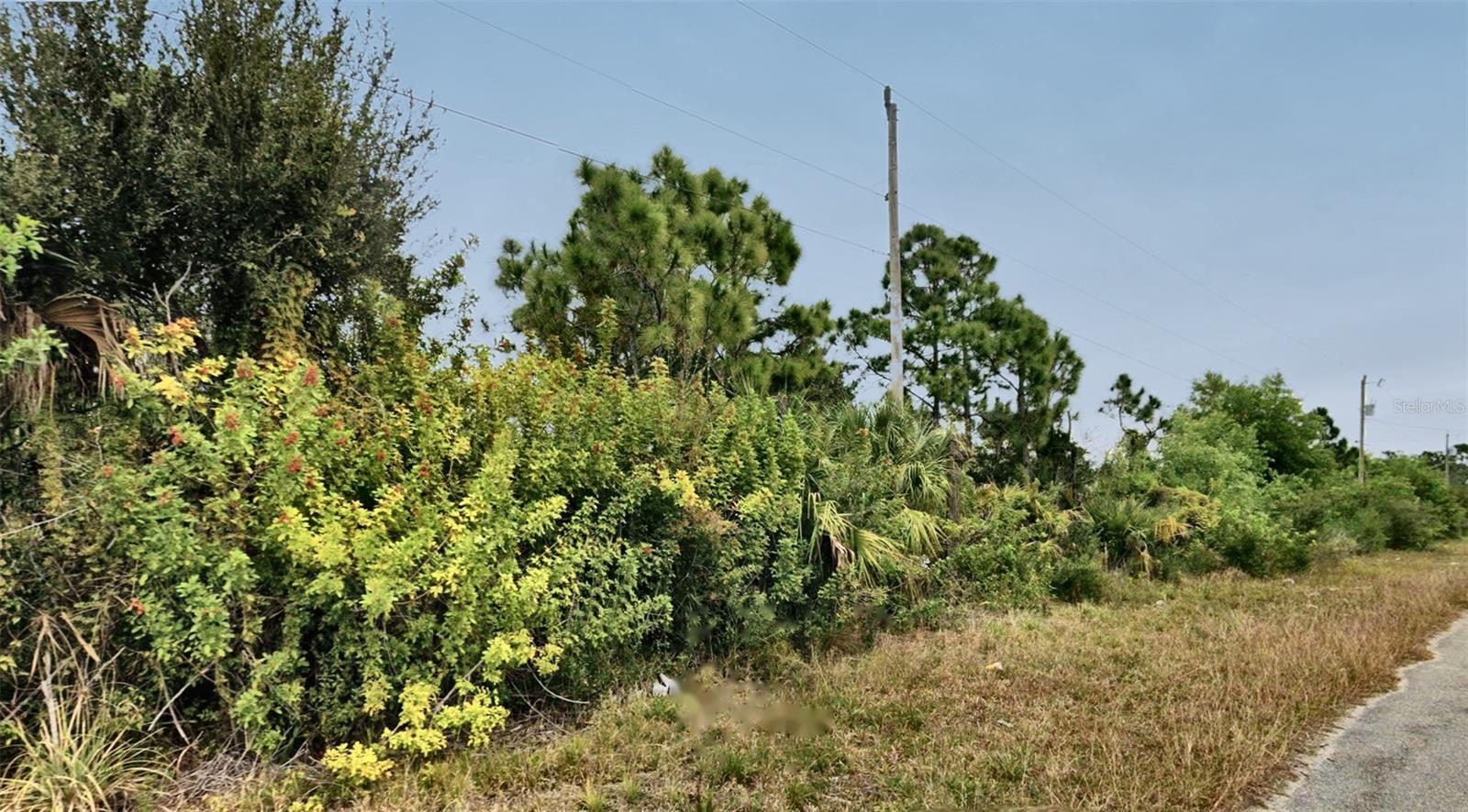 LEHIGH ACRES - Land