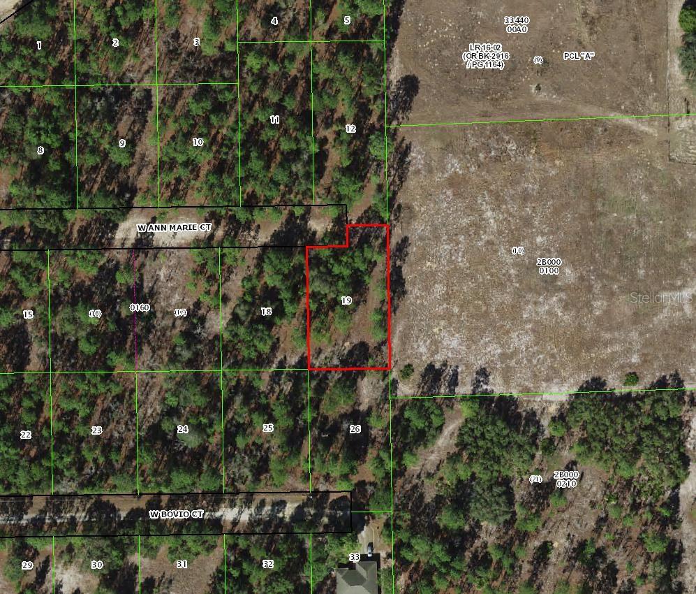 Check out and purchase this OVERSIZED .37 ACRE LOT in Florida's fastest-growing city! This ELEVATED and DRY parcel offers a solid foundation; perfect for your future construction projects. Ideal for investors and buyers looking to secure an investment opportunity and capitalize on rapid SUBURBAN growth!