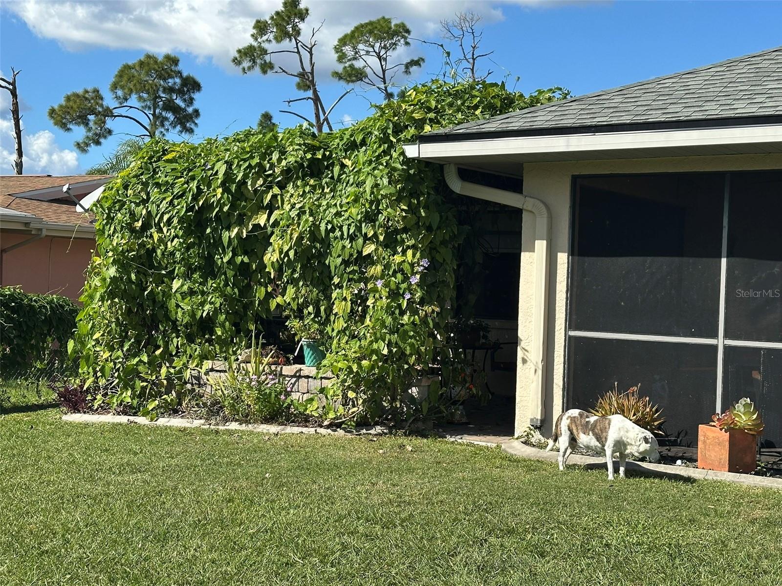 PORT CHARLOTTE SEC 007 - Residential