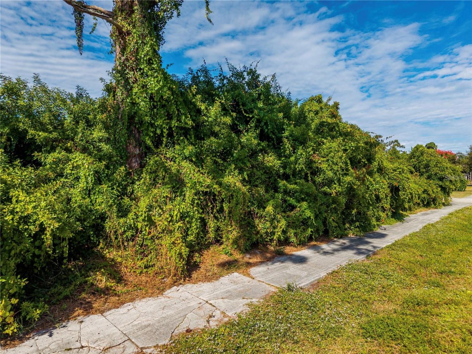 SOUTH VENICE - Land